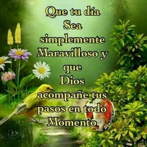 Meet your Posher, Angel